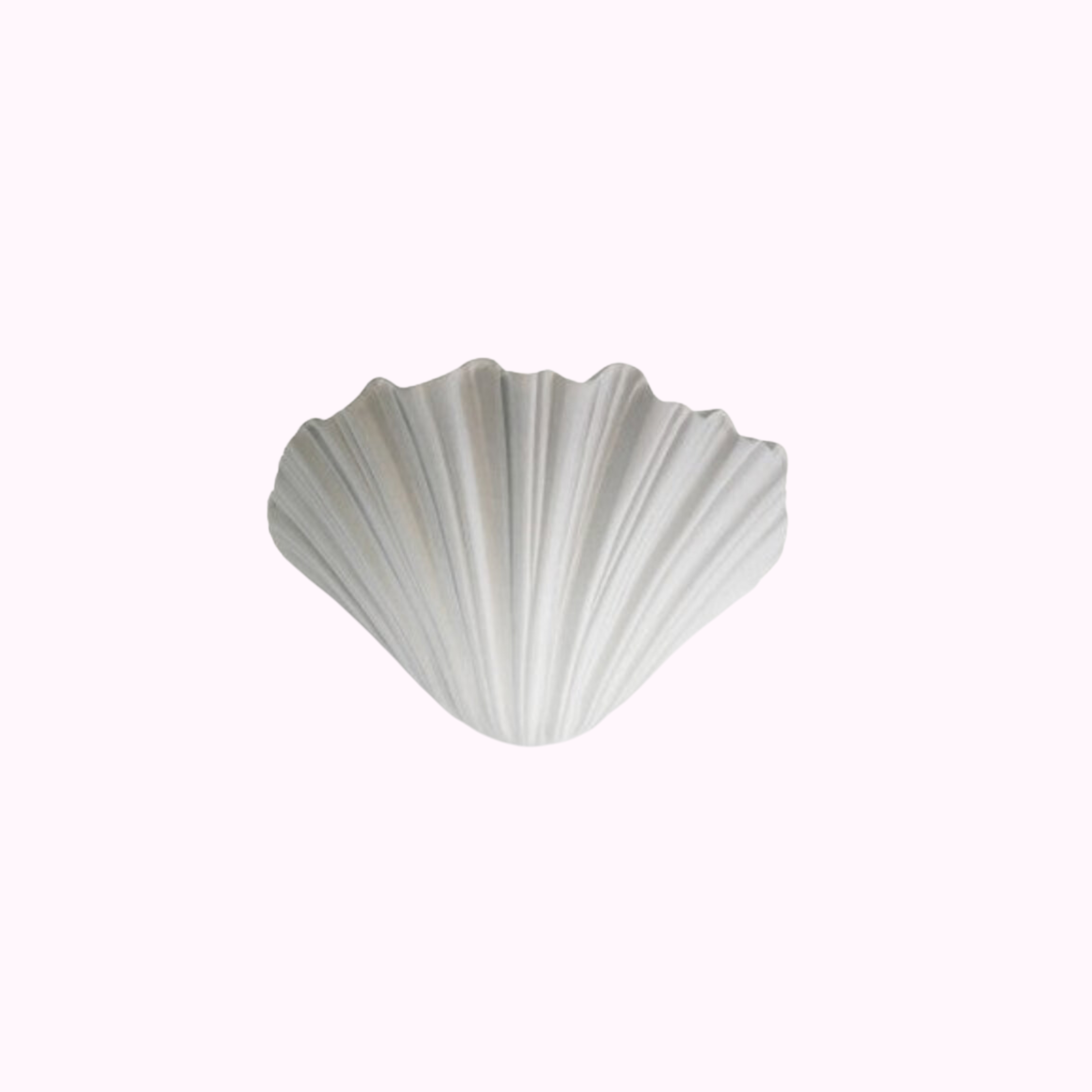 French plaster shell sconce 29.5cm W x 18cm H