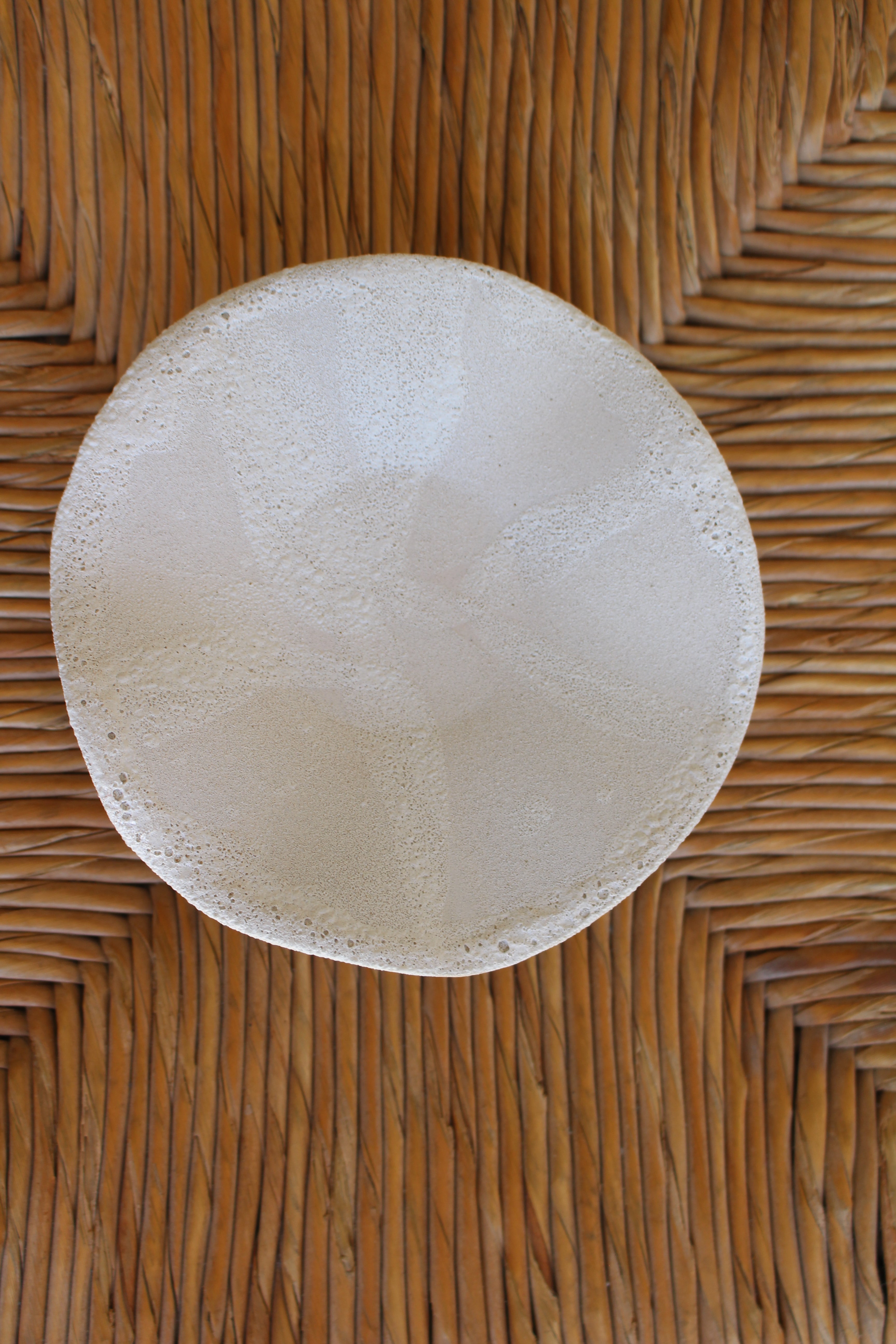 'Stingrays' Stoneware Ceramic by Rebekah Clark