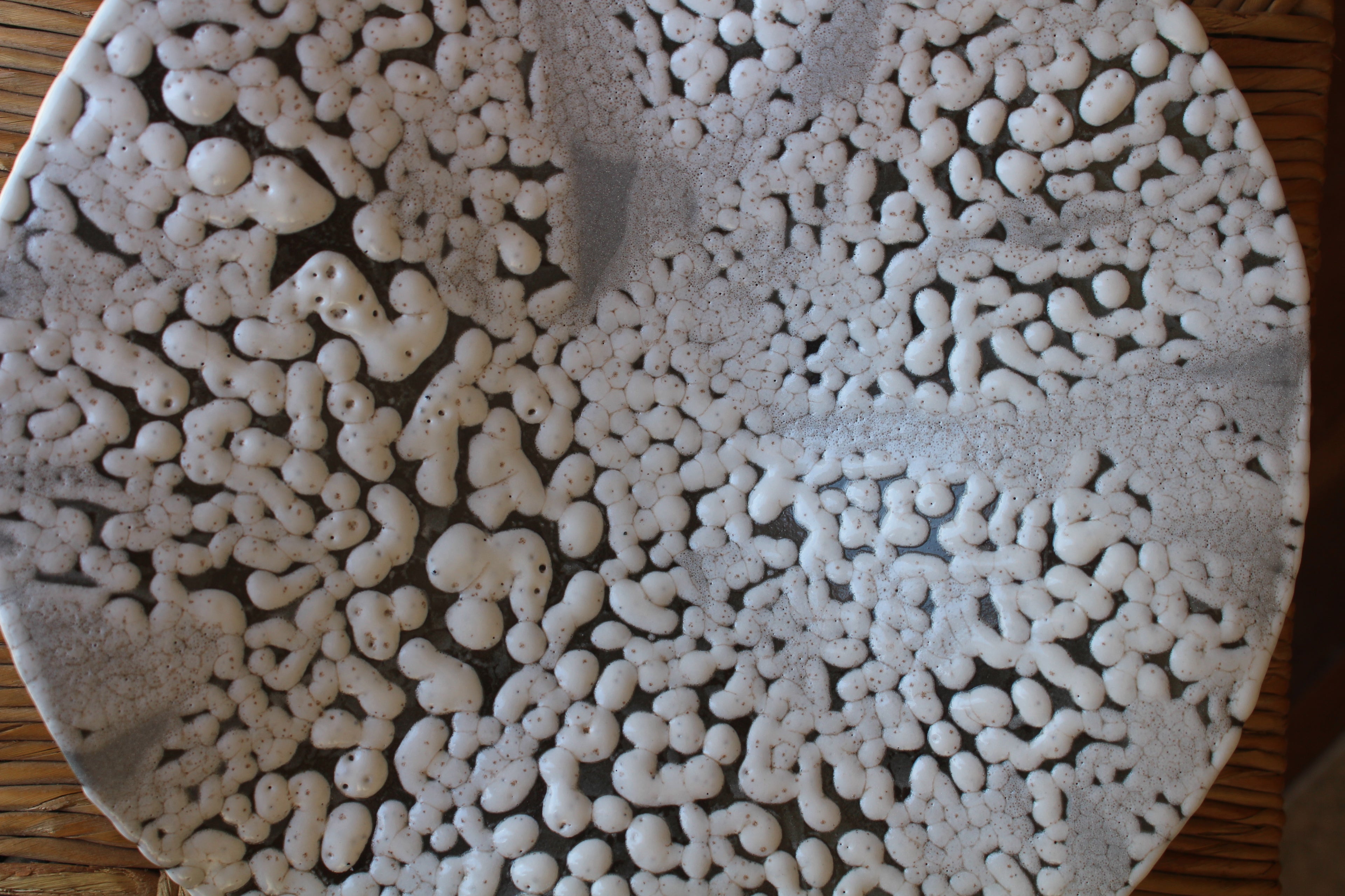 'Stingrays' Stoneware Ceramic by Rebekah Clark