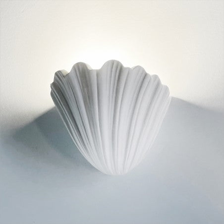 French Plaster Shell Sconces