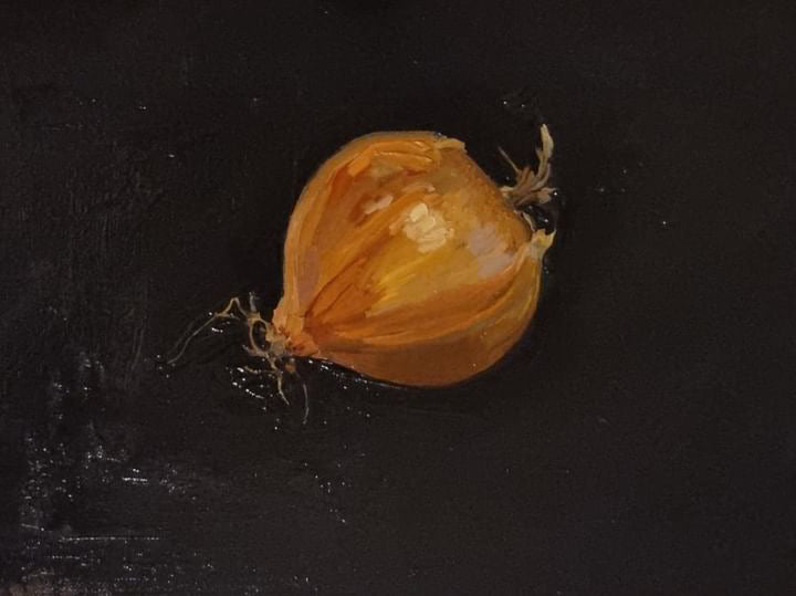 Onion still life by Ella Holme