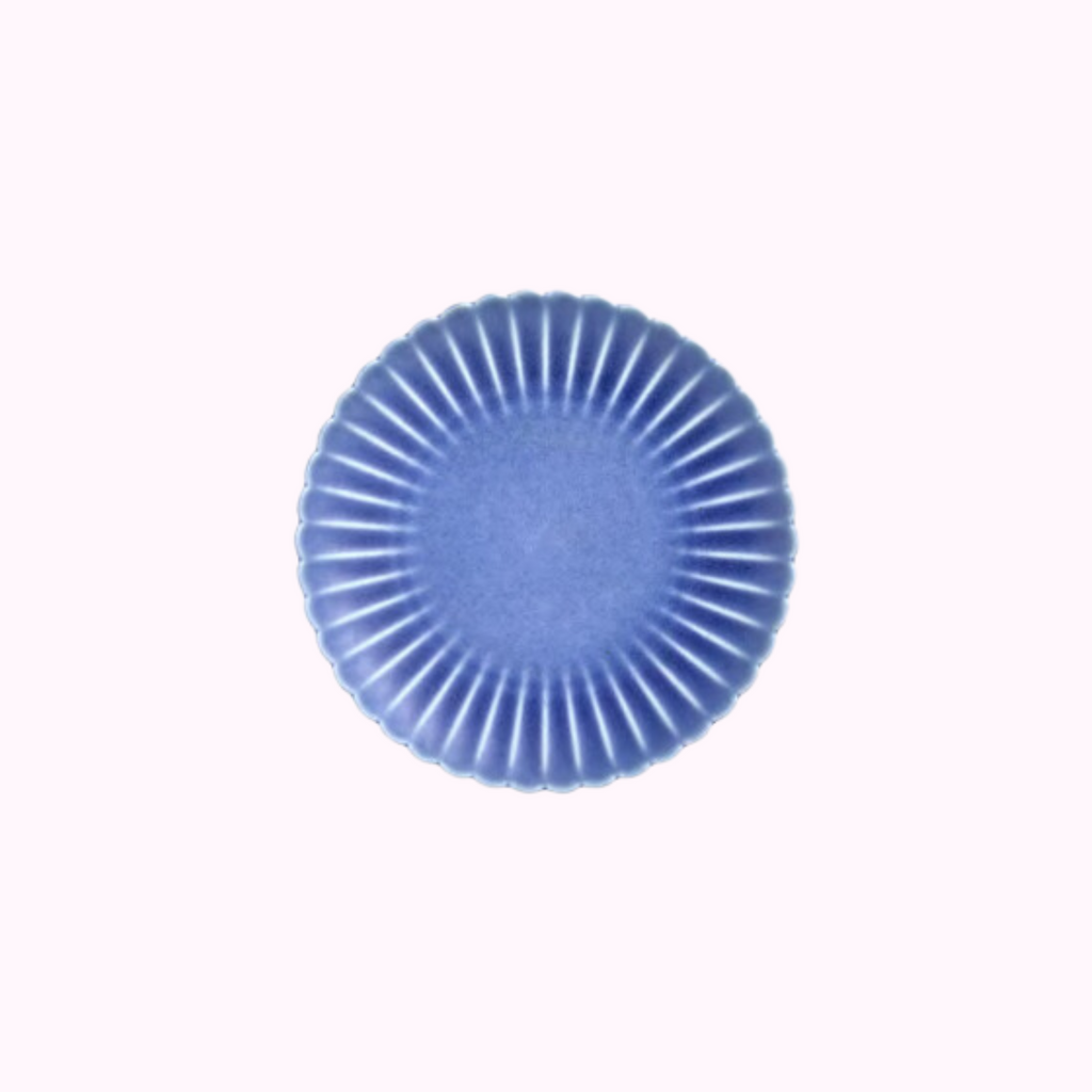 Contemporary ceramic plate with delicate design