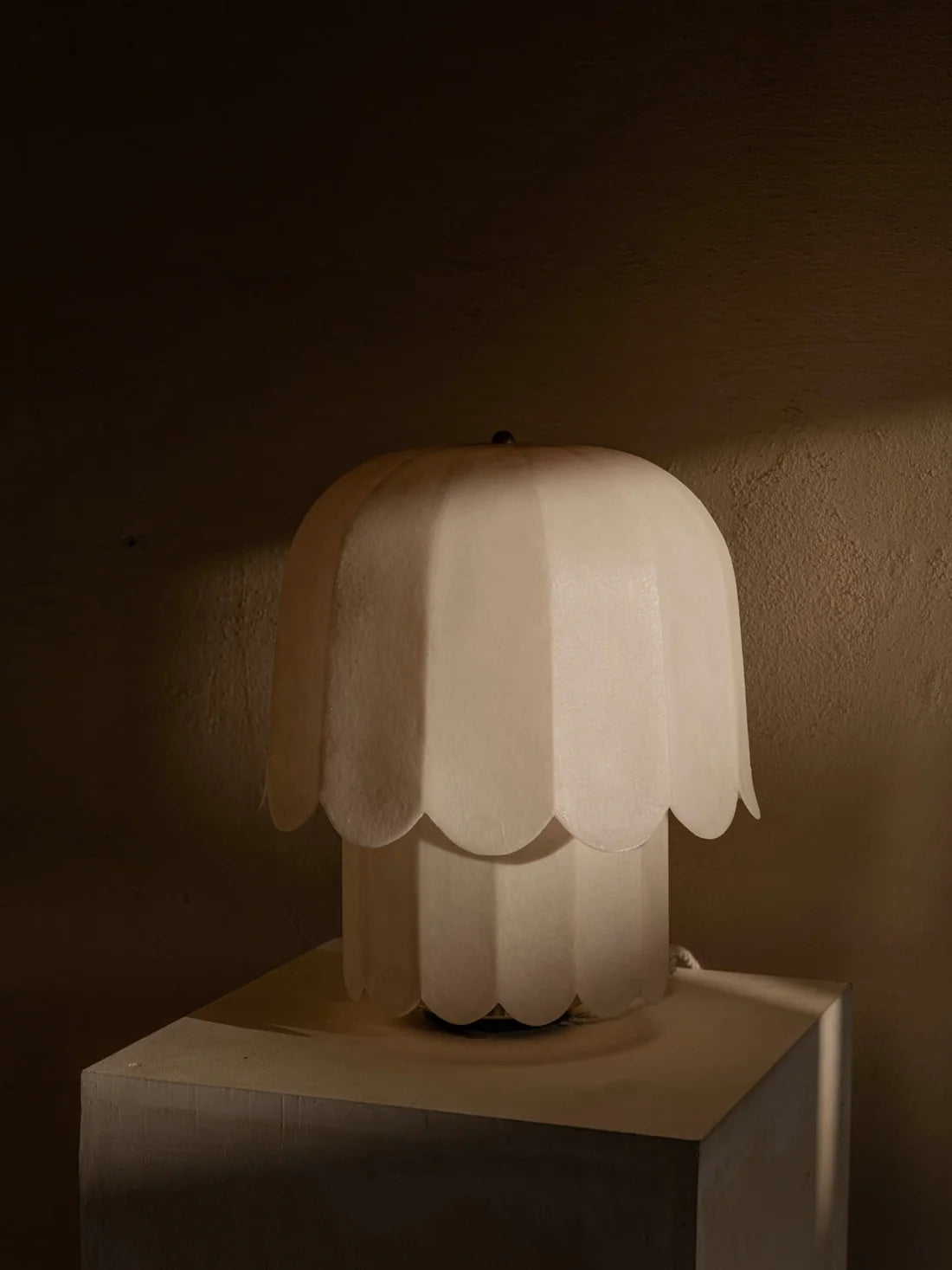 Feather Lamp by Jorge Kilzi