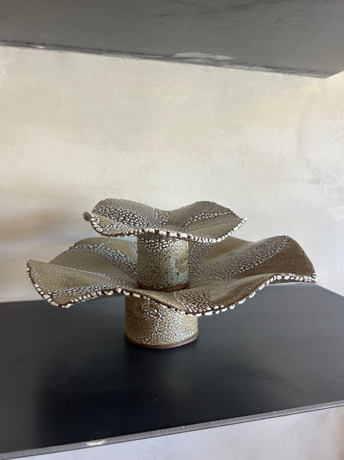 'Stingrays' by Rebekah Clark
