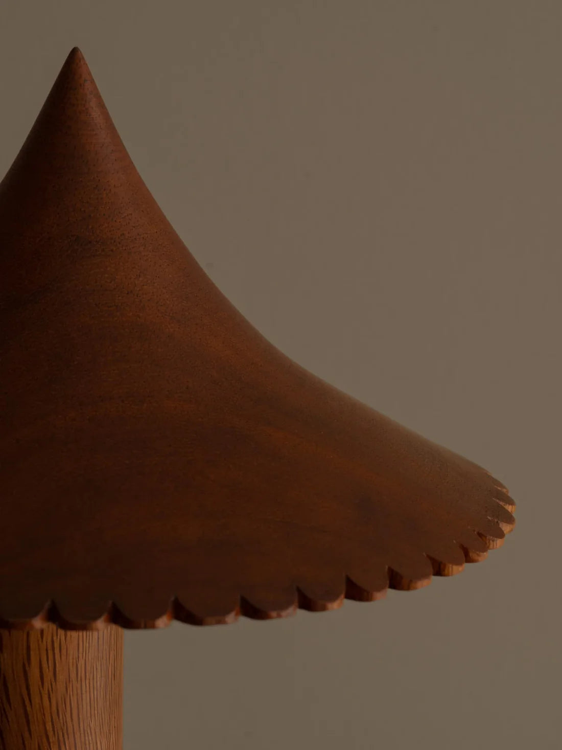 Pole and Fringe Lamp by Jorge Kilzi