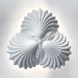 French Plaster Shell Chandelier — Contemporary Design