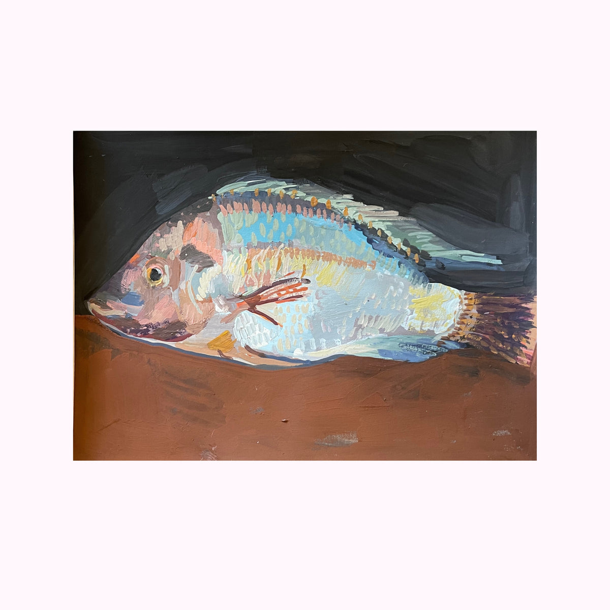 ‘The Rainbow Fish’ by Ella Holme – Oil on Paper – Cleo Collects