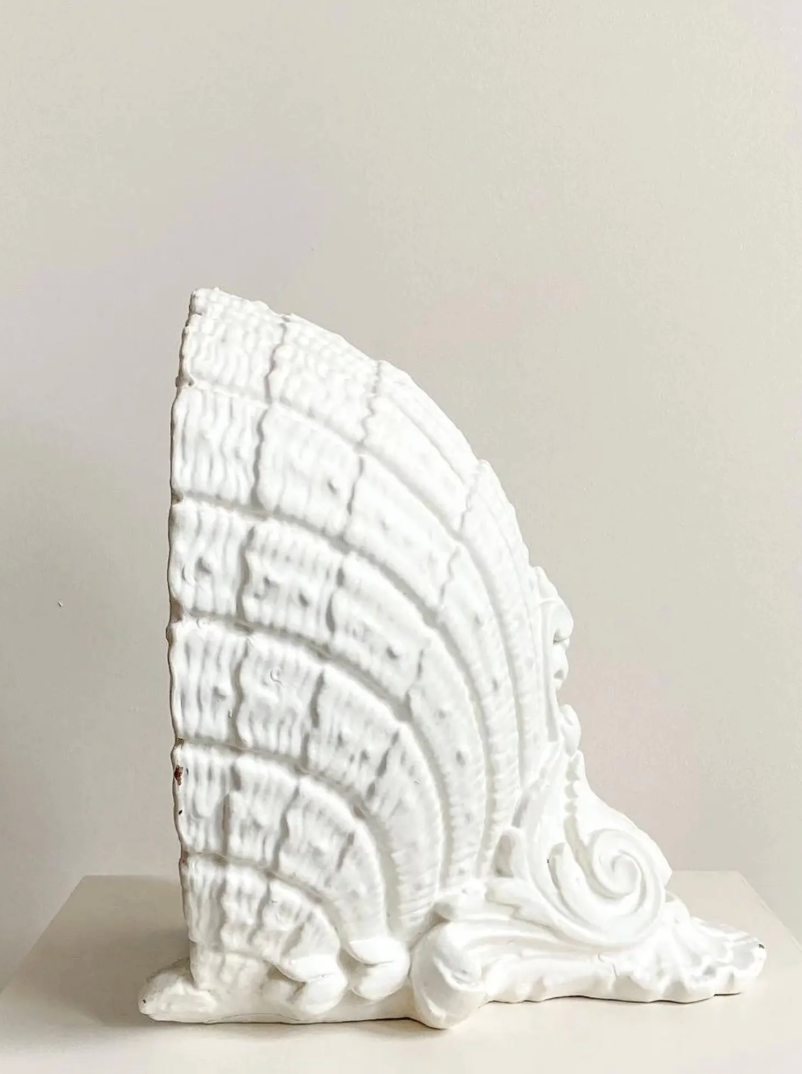 Scalloped Shell wall sconce