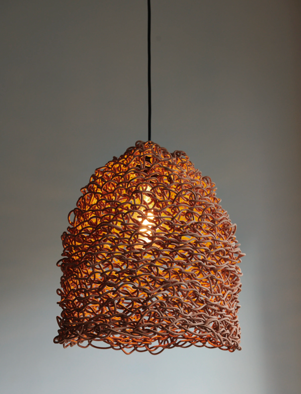 ENJAMBRE Ceiling Lamp by Monica Pigliacampo