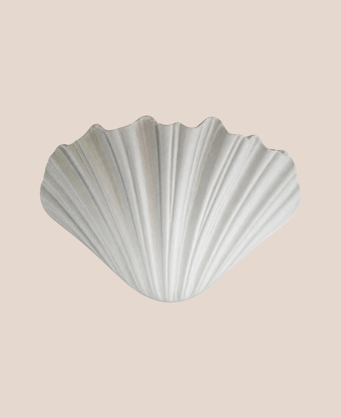 french-plaster-shell-sconce-contemporary-29.5cm-wall-light