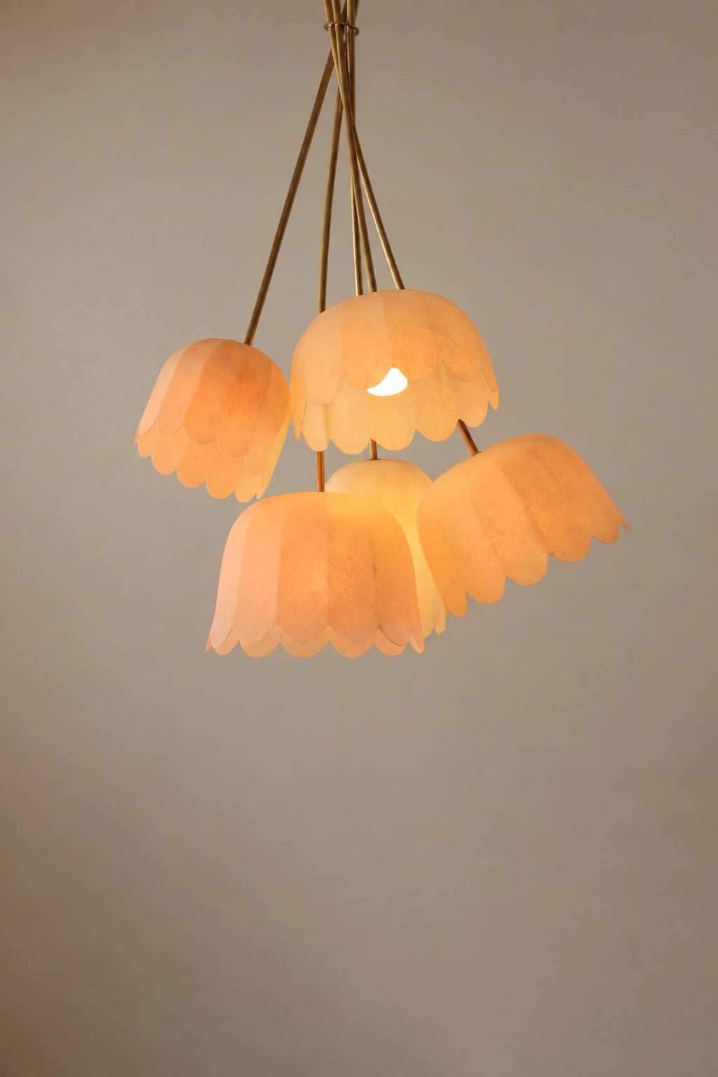 The Feather Pendant – Model 4 (5 Shades) by Jorge Kilzi