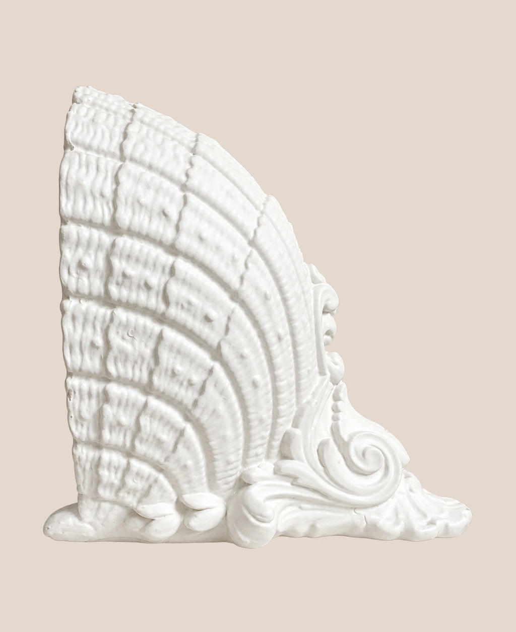 scalloped-shell-wall-sconce