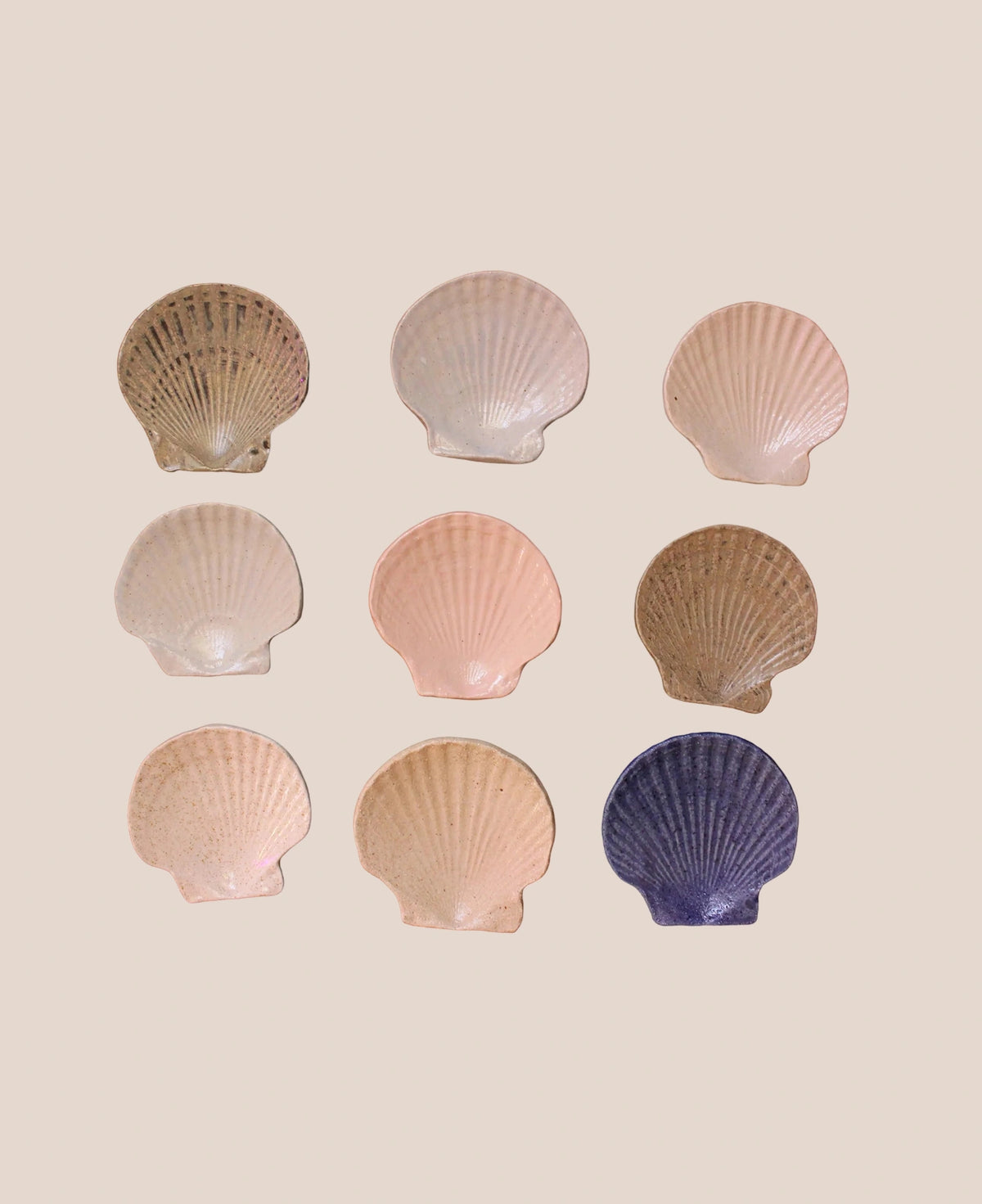shells-by-jasmine-raisbeck